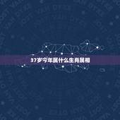 37岁今年属什么生肖属相，2021年37岁属什么