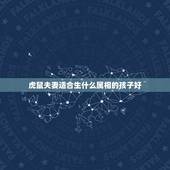 虎鼠夫妻适合生什么属相的孩子好，我属虎老公属鼠生什么属相的宝贝好
