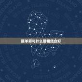 属羊男与什么属相结合好，1991年属羊的更佳配偶