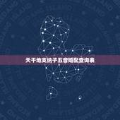 天干地支纳子五音婚配查询表，纳音在命理中有什么作用