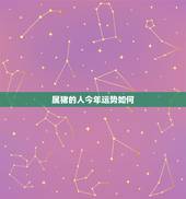 属猪的人今年运势如何，2021年属猪1971年运势
