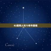 82属狗人与73年牛属相，82年属狗与73年属牛的做生意可以吗？