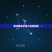 测试你未来老公会疼你吗，心理测试：未来你的老公是什么样的人，进来测一下