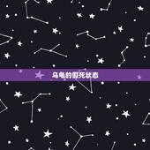 乌龟的假死状态，乌龟冬眠时会假死吗？它假死时是什么特征？乌龟的壳表面会