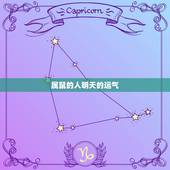 属鼠的人明天的运气，老鼠明天的运程