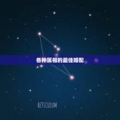 各种属相的最佳婚配，属蛇和什么属相最配 属蛇的最佳配偶