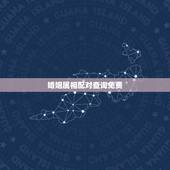 婚姻属相配对查询免费，婚姻属相配对怎么查