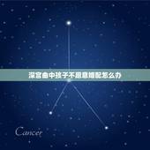 深宫曲中孩子不愿意婚配怎么办，深宫曲怎么加独立