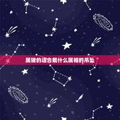 属猪的适合戴什么属相的吊坠，请问，属猪的女孩子适合佩戴什么生肖的金吊坠