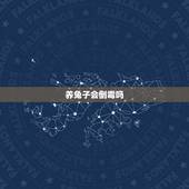 养兔子会倒霉吗，兔子有灵性的表现