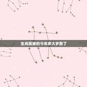 生肖属猪的今年多大岁数了，71年属猪49和50岁命运