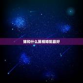 猪和什么属相婚配最好，属猪的男人和什么属相最配