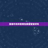 属相牛和羊配婚生属猪宝宝好吗，我属羊老婆属猪，想要生宝宝，宝宝属鼠好还