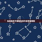生肖兔双子座和生肖牛射手座婚配，属兔双子座男生与属牛射手座女生的姻缘