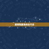 属狗和属兔的合不合，属狗和属兔合吗？
