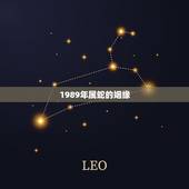 1989年属蛇的姻缘，1989年女属蛇男属鼠婚姻配对吗