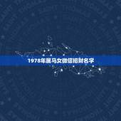 1978年属马女微信招财名字，1978年属马的人婚配