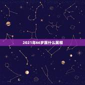 2021年66岁属什么属相，2021年28岁属什么生肖