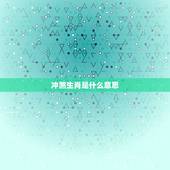 冲煞生肖是什么意思，冲煞是什么意思