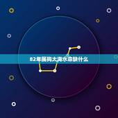 82年属狗大海水命缺什么，大海水命最忌做什么行业