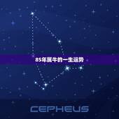 85年属牛的一生运势，73年属牛何时走大运