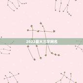 2022最火三字网名，2023年最新三个字稀有网名