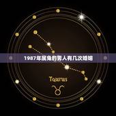 1987年属兔的男人有几次婚姻，1987年属兔人的命运与婚姻