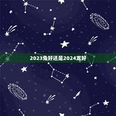 2023兔好还是2024龙好，龙兔泪交流什么意思