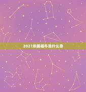 2021年属相牛是什么命，2021年牛年五行属什么