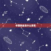 辛酉阴金是什么意思，阴金命好不好