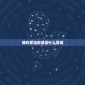 猪的更佳配偶是什么属相，牛更佳配偶是什么属相