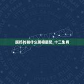 属鸡的和什么属相最配_十二生肖，属鸡和什么属相最配