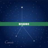 生辰八字猪跟什么相合(介绍猪与哪些生肖最配)