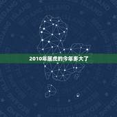 2010年属虎的今年多大了，属虎的今年多大了？
