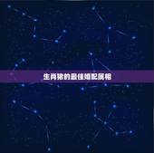 生肖猪的最佳婚配属相，属相婚配表之属猪的和什么属相最配