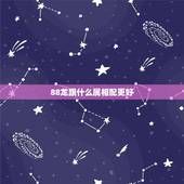 88龙跟什么属相配更好，属龙和属牛的合不合