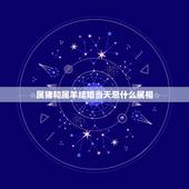 属猪和属羊结婚当天忌什么属相，属马和属猪的合不合