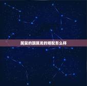 属鼠的跟属龙的婚配怎么样，属鼠跟属龙相配吗