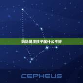 妈妈属虎孩子属什么不好，父子两都属虎犯冲吗