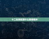 十二生肖蛇跟什么属相相冲，属相：生肖蛇跟什么相冲