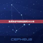 属虎的运气和财运如何2022年，属虎1974今年运气