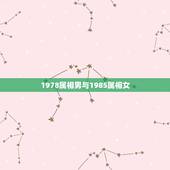 1978属相男与1985属相女，1978年属马女与1985年属牛男能结
