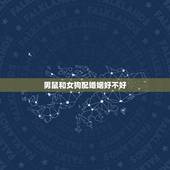 男鼠和女狗配婚姻好不好，生肖配对男鼠和女狗配吗