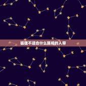 狐狸不适合什么属相的人带，女人佩戴狐狸有什么说法