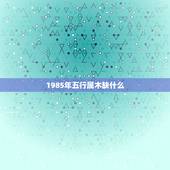 1985年五行属木缺什么，1985属牛命中缺什么
