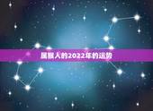 属猴人的2022年的运势，属鼠的人2022 年的运势及运程