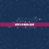 招财大牛猫滚ic视频，大号“招财大牛猫”停更，这名博主存在哪些违规问题