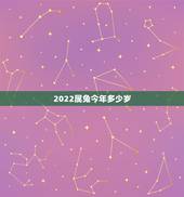 2022属兔今年多少岁，属马今年多大岁数