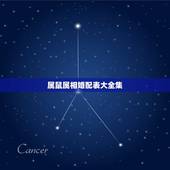 属鼠属相婚配表大全集，与属鼠相配的属相有哪些？