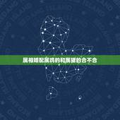 属相婚配属鸡的和属猪的合不合，属猪的和什么属相最配 属猪的属相婚配表
